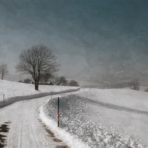 Winter Landscape