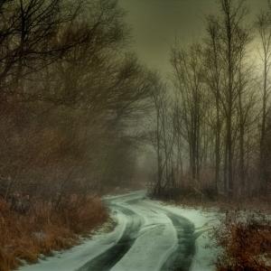 Misty Lane