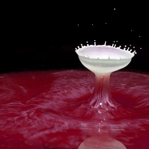 Liquid Bowl