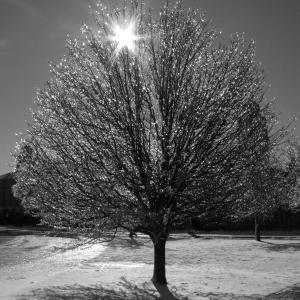 Frozen In Time