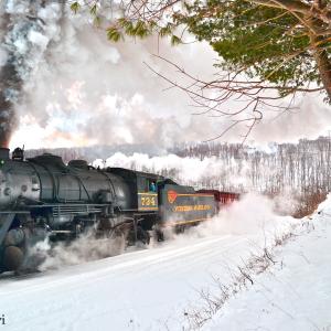 Steam & Snow