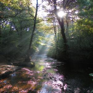 Early Morning Sun