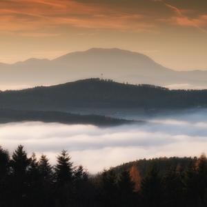 Fog in the Valley
