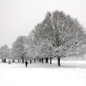 Winter Wonderland