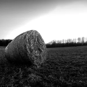 The End of a Farmers Day