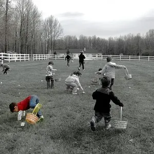 Easter egg hunt