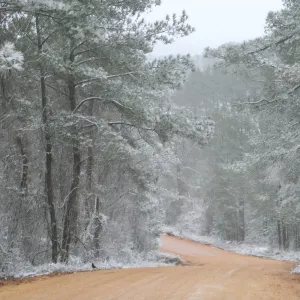 No snow for the road