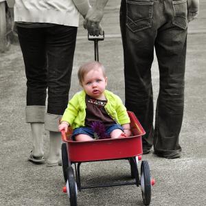 My Little Red Wagon