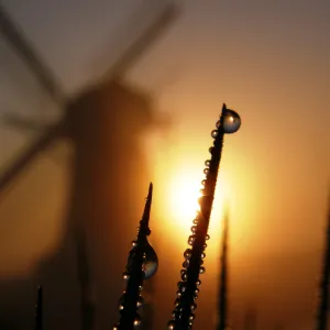 Dutch Mill Reflected