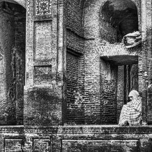 Living among the ruins