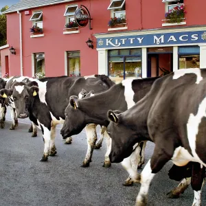 Are you coming for a pint?