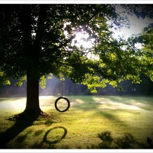 Morning Silence