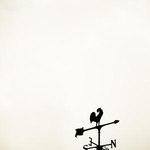 Where To?