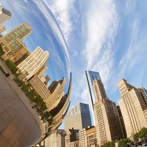 The Bean