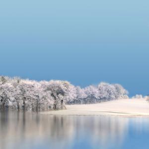 White Christmas