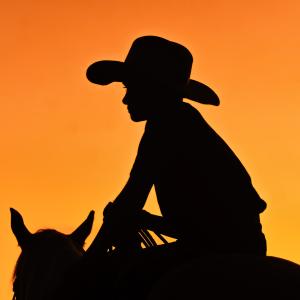 Ranchers Sunset