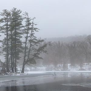 Ringwood January