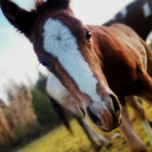 New Life