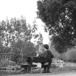 The Park