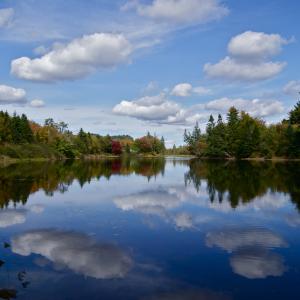 REFLECTION