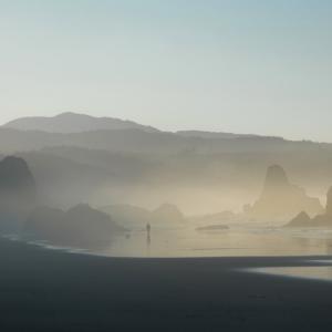 Partly Foggy