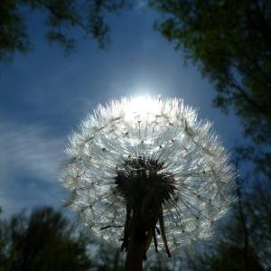 Gekust door de zon