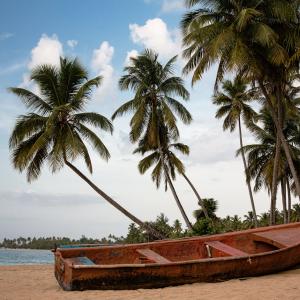 Boat Tours