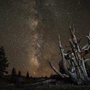 Under the Milky Way