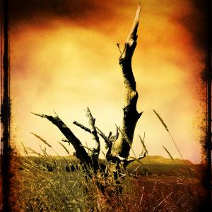 Evergiving Life