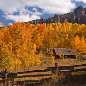 Solitude in Autumn