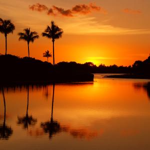 Sunset Red