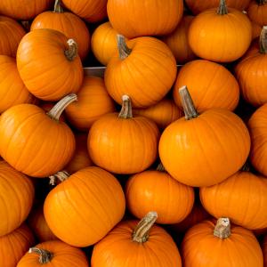 Pumpkins