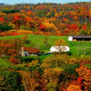 MY FARM