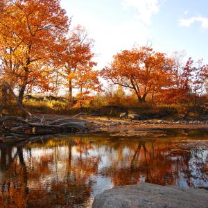 Fall reflections