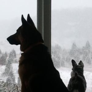 sentry duty