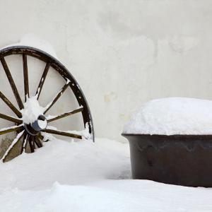 Overnight Snow