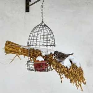 Goodies for the Birds