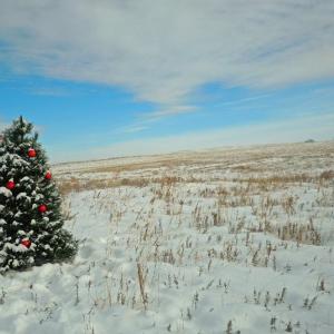 Christmas on the prairie