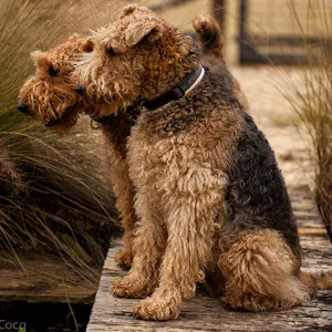 Fishing Off the Bridge