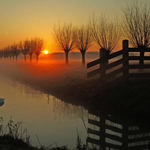 dawn silence