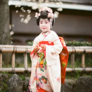 little geisha