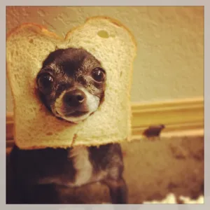 Breading Kylee Cyrus