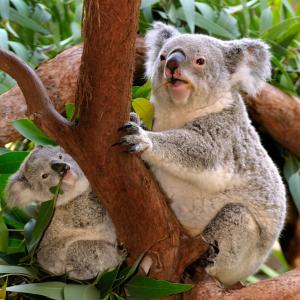 Snacking with Mom