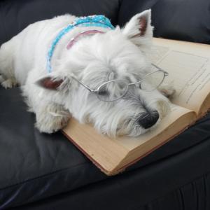 READING BREAK