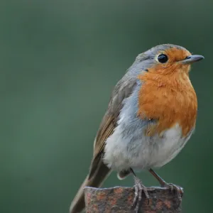 Nature on your doorstep