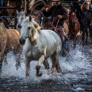 Crossing the River