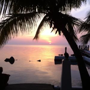 Paradise Dreams