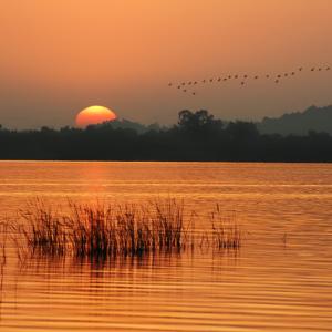 Serene Sundown