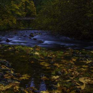 Silver Creek Reflections