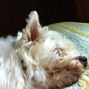 Minnie Pearl Ezell